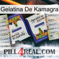 Kamagra Jelly 12